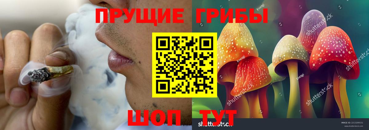 Псилоцибиновые грибы Psilocybe  Вход с VPN  Семёнов 